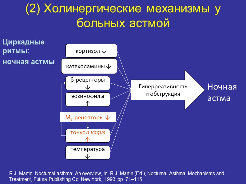(2) Холинергические механизмы у больных астмой R.J. Martin, Nocturnal asthma: An overview, in: R.J.